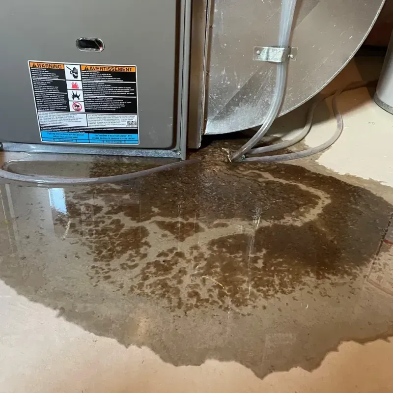 Appliance Leak Cleanup in Wellington, OH